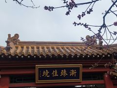 -桃花堤公园