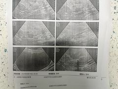 -半岛宠物医院24小时(科华中路店)