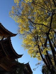 -小红帽摄影(丽江店)