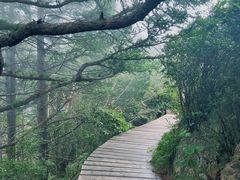 -白草畔自然风景区