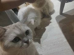 -小时光咖啡馆(开森度假森林店)