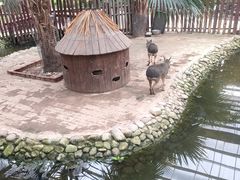 -呀路古热带植物园