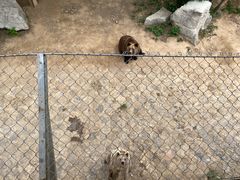 -石家庄市动物园