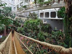-正佳雨林生态植物园