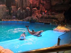 -芜湖新华联大白鲸海洋公园