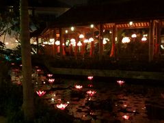 -河内西湖莲花自助餐厅