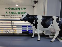 -蒙牛工业旅游景区