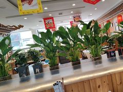 -大清花饺子(山庄店)