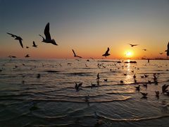 -老虎石海上公园