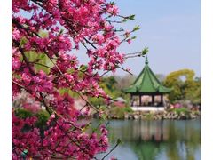 -无锡蠡湖国家湿地公园-蠡园