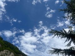 -乡土特色.冷锅鱼.牦牛肉汤锅