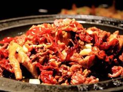 -天山醉美辣子鸡(文艺路店)