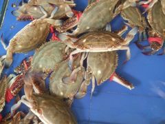 -山东八大碗山东老字号