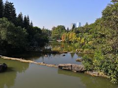 -云溪植物园