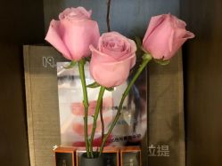 -FineYoga梵音瑜伽·普拉提