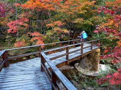 景点-本溪老边沟风景区