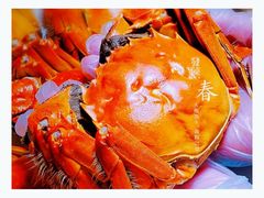 -虹御轩·传承江浙菜(虹桥店)