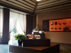 -端艾堂·SPA·艾灸(棕榈泉013店)