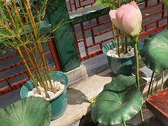 -情满四合院•京菜•烤鸭(动物园店)