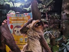 -正佳雨林生态植物园