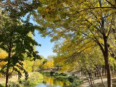 -奥林匹克森林公园北园-停车场