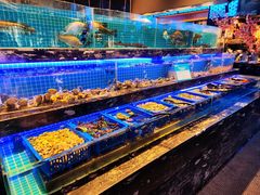 -喜庭海鲜自助(深圳万丰海岸城店)