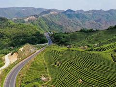 -宁波余姚老柿林山居度假村