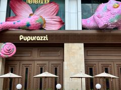 -帕帕拉兹宠物(亚洲旗舰店)