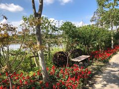 -上海长兴岛郊野公园