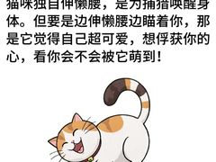 -pd派德宠物中心医院24H急重症·眼科中心·血液透析中心(嵩山北路店)