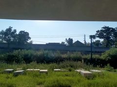 -秦始皇帝陵博物院-丽山园