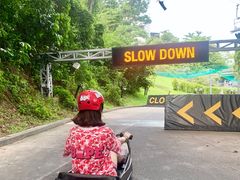 -圣淘沙天际线斜坡滑车