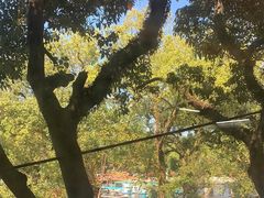 -潮镇老尾牛杂(环城西路店)