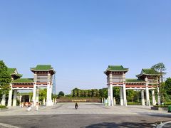 -王借岗森林公园