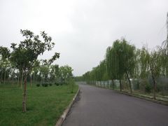 -洨河生态公园