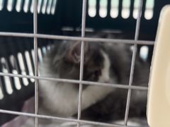 -佳雯宠物医院·皮肤科·内外科(春晓路分院)