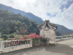 -雁南飞茶田景区