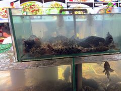 -乔家小院•非遗驴肉•青岛菜(滨河路店)