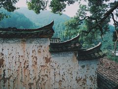-杨家堂村