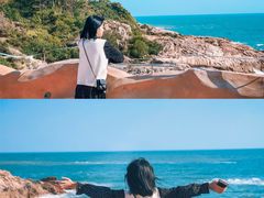 -广东惠东海龟国家级自然保护区