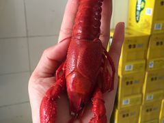 冰镇龙虾-袁老大龙虾(石鼓路总店)