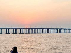 -宝安西湾红树林湿地公园