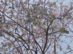 -白鹭洲公园