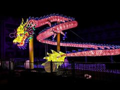 -锦江乐园舞狸花花游园会(夜场专享)