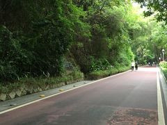 -金鸡山公园