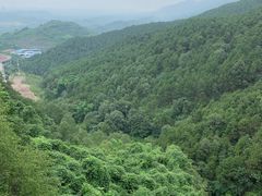 -铁山坪森林公园