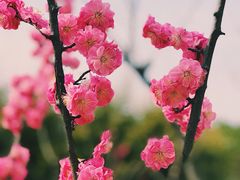 -合肥市裕丰花鸟虫鱼市场-F区
