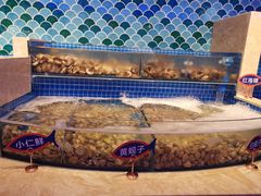 水产区-乔哥铭洋海鲜自助(皇城恒隆广场店)