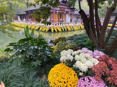 -杭州植物园