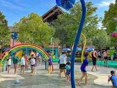 -苏州乐园森林水世界